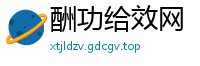 酬功给效网